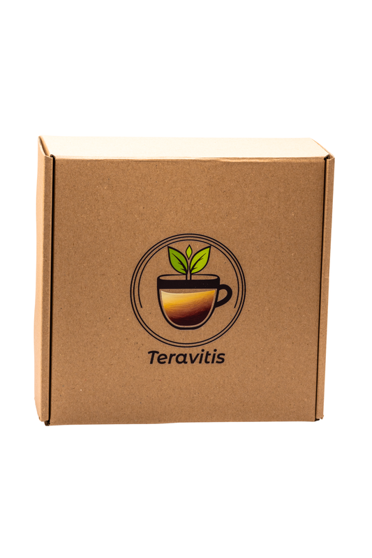 Caixa de Envio Teravitis Kraft 20x20 | Presente Seguro e Elegante